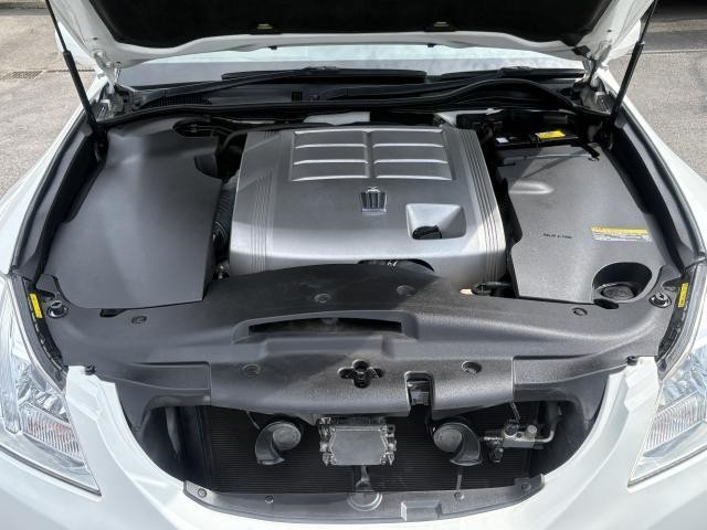 26705649_carP_l_5.jpg