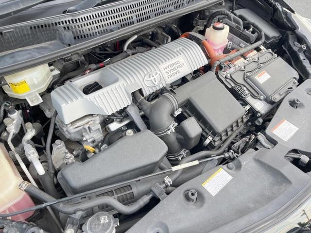 26105865_carP_l_18.jpg