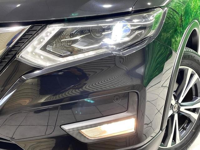 26293188_carP_l_8.jpg