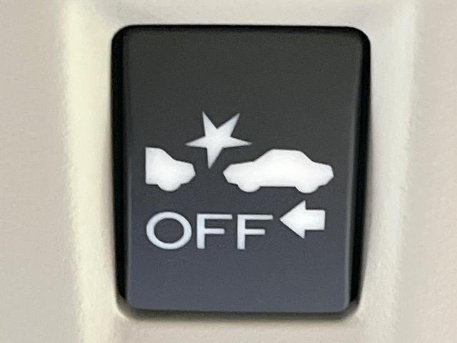 25754762_carP_l_10.jpg