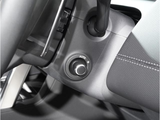 26706175_carP_l_5.jpg