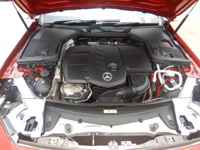 25000294_carP_l_17.jpg