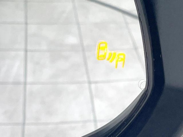 26601340_carP_l_17.jpg