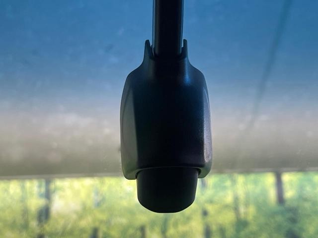 26988659_carP_l_10.jpg