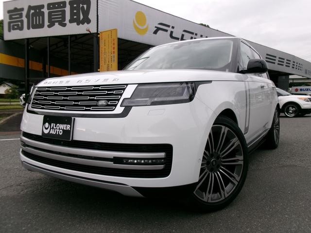1000175A30260621W00106.jpg