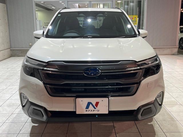 b9148436cedede2bed0b536652eee9f8.jpg