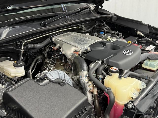 0202956A30260802W00114.jpg