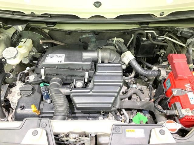 25754774_carP_l_16.jpg