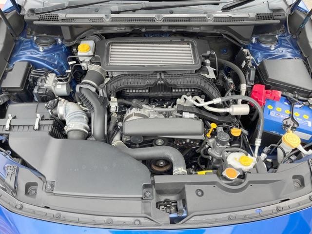 26901721_carP_l_16.jpg