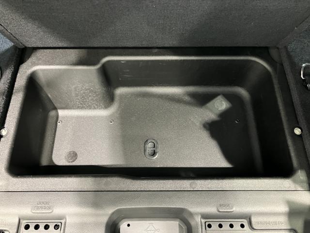25000310_carP_l_18.jpg