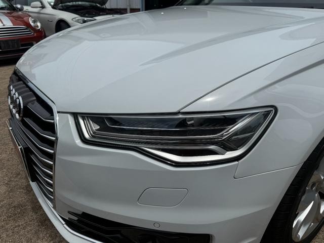 0208195A30260731W00116.jpg
