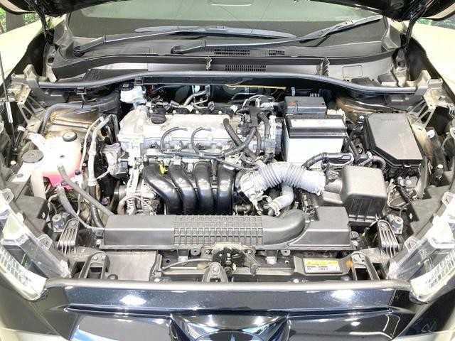 25754777_carP_l_16.jpg