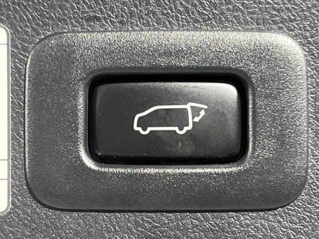24706560_carP_l_14.jpg