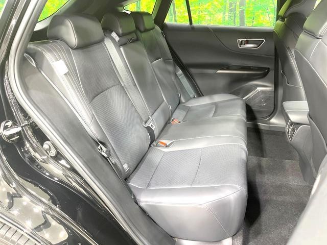 26293419_carP_l_2.jpg