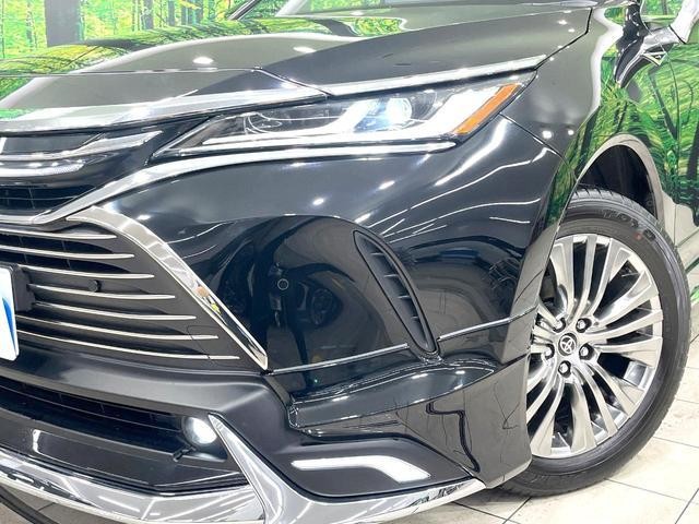 26293419_carP_l_7.jpg