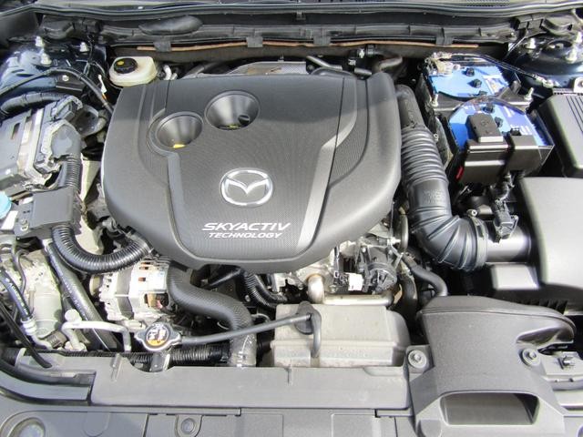0403558A30260518W00419.jpg