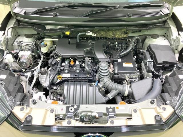 25754785_carP_l_16.jpg