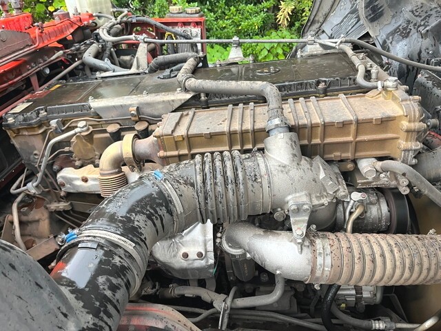99075_20.jpg