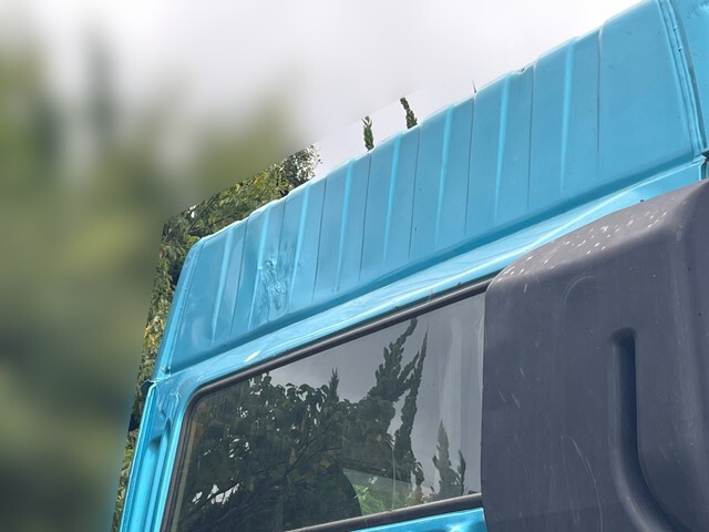 99075_36.jpg