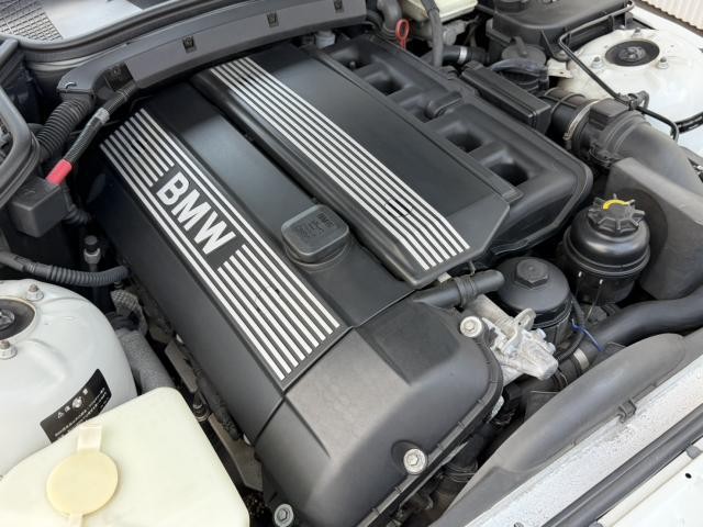 25957239_carP_l_20.jpg