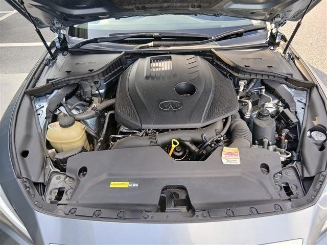 25297846_carP_l_18.jpg