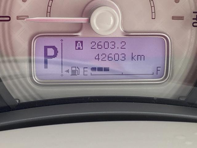 24886160_carP_l_3.jpg