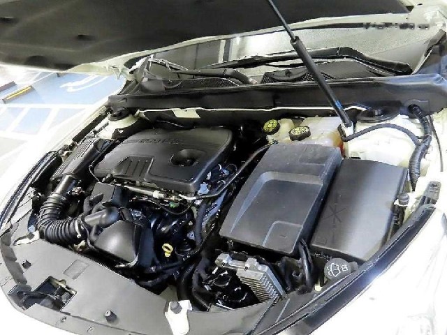 daf9215ff6a32f4414821bf04a76cc77.jpeg