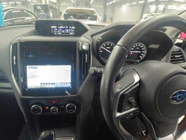 25070546_carP_l_13.jpg