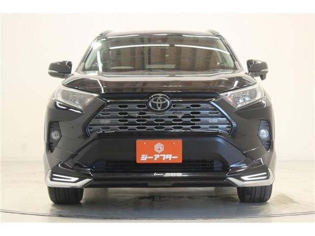 25688277_carP_l_6.jpg