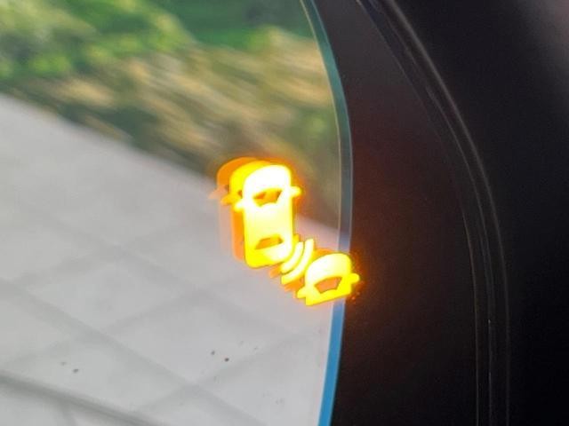 25754815_carP_l_10.jpg