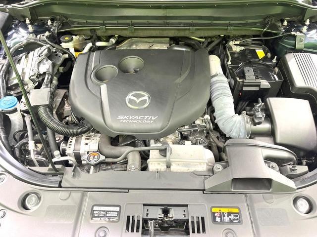 25324228_carP_l_20.jpg