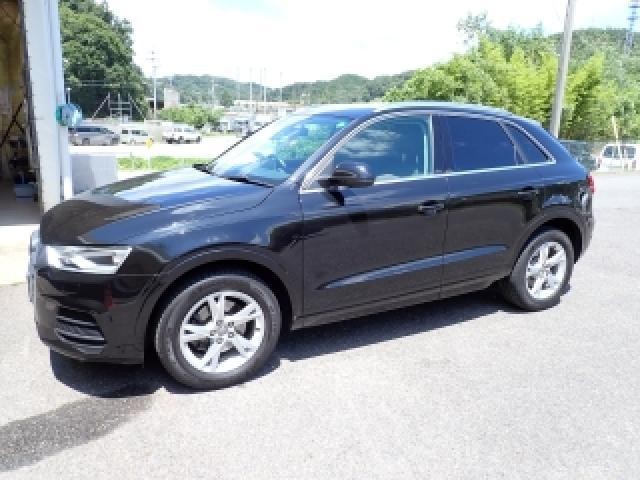 26063688_carP_l_13.jpg