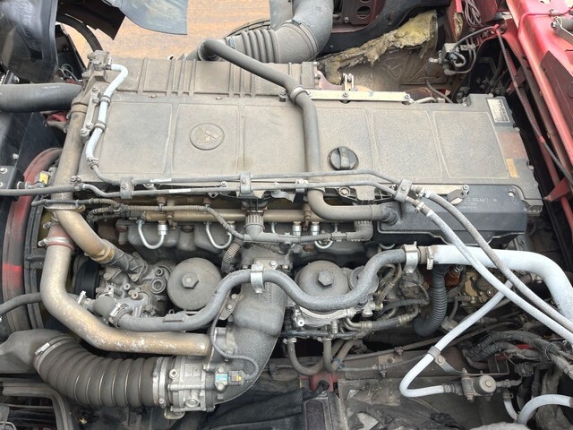 99080_19.jpg
