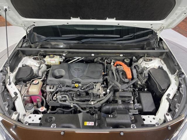 26293541_carP_l_18.jpg