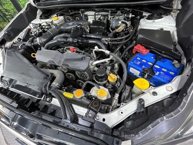 2ddc5aed6097eefa4f746ad0e9b1baa1.jpg
