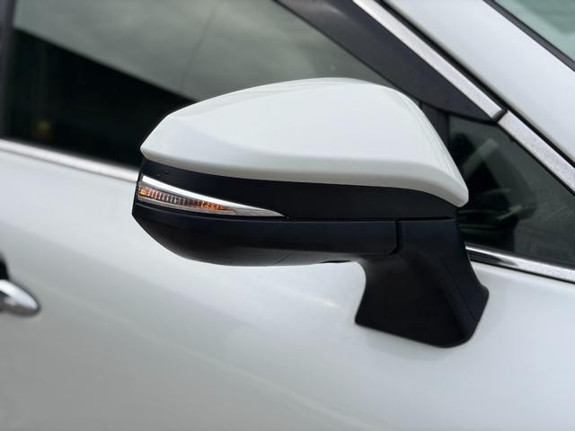26293670_carP_l_16.jpg