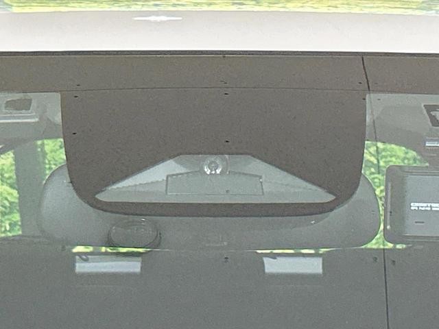 25774645_carP_l_10.jpg