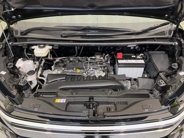 24089699_carP_l_16.jpg