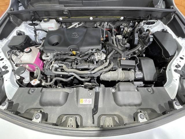 25774675_carP_l_16.jpg
