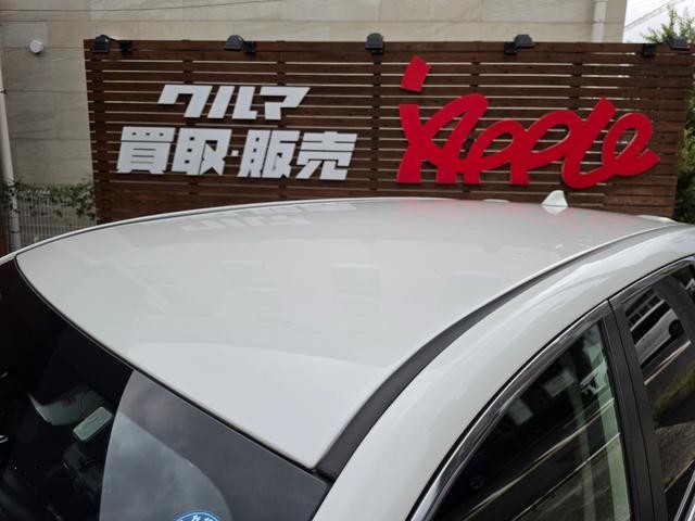 0204543A30260903W00114.jpg