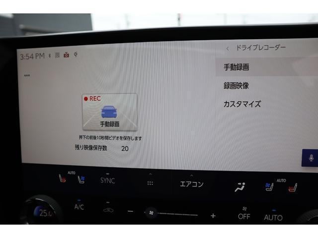 17906951_carP_l_6.jpg