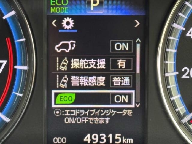 26293928_carP_l_17.jpg