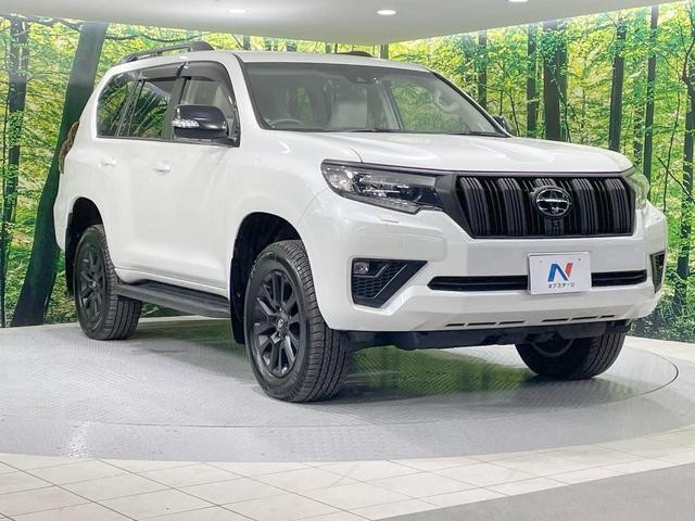 25754980_carP_l_16.jpg