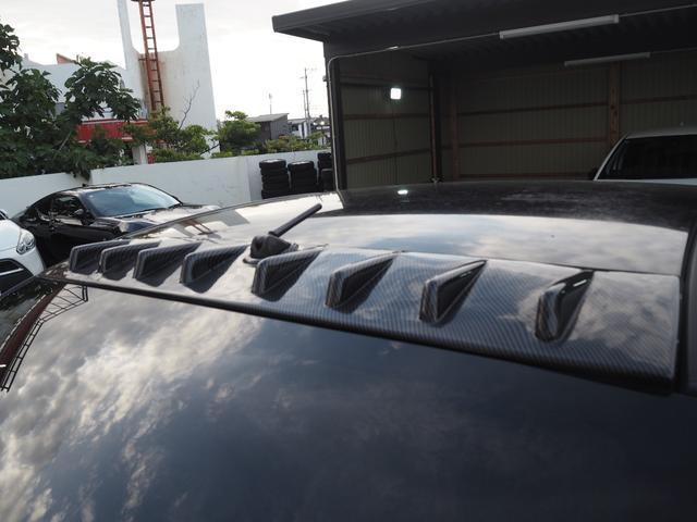 25070879_carP_l_9.jpg
