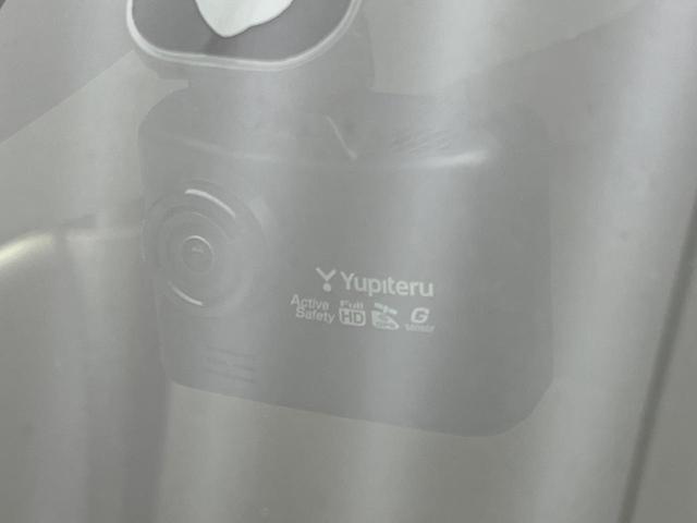 23865015_carP_l_10.jpg
