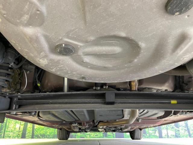 25755023_carP_l_18.jpg