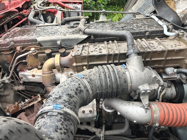 99090_20.jpg