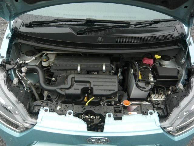 26293989_carP_l_17.jpg