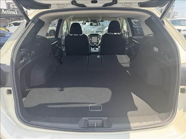 25650518_carP_l_20.jpg