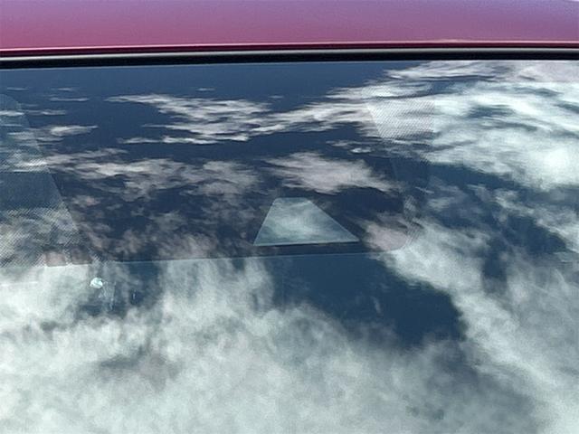 1100335A30260513W00317.jpg